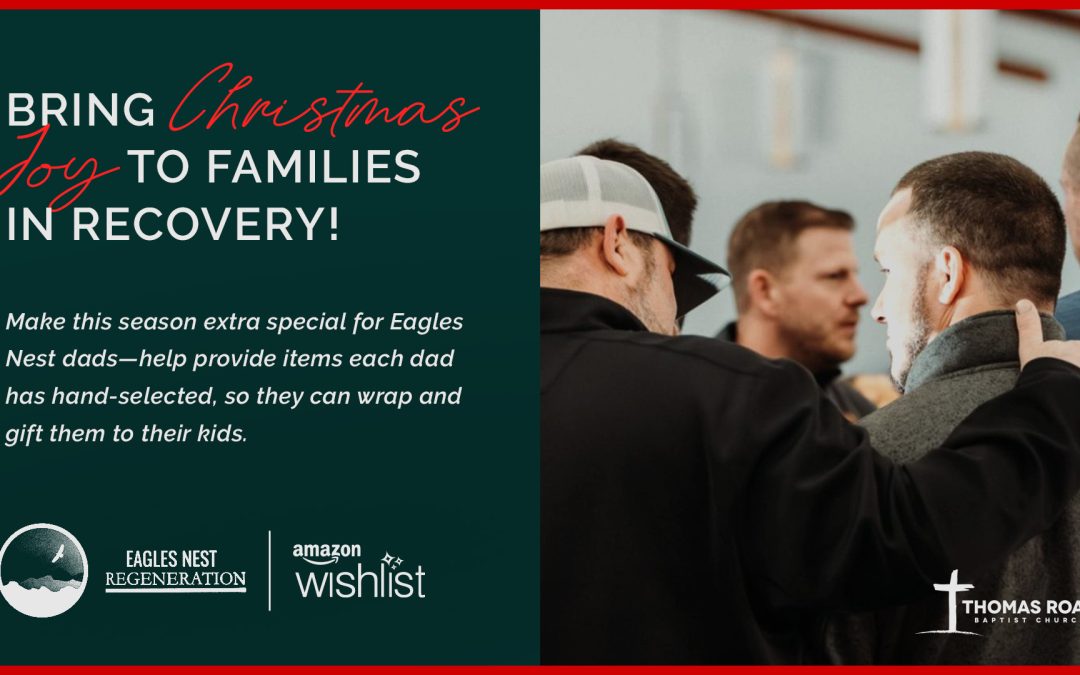 Eagles Nest Christmas Donations | Info